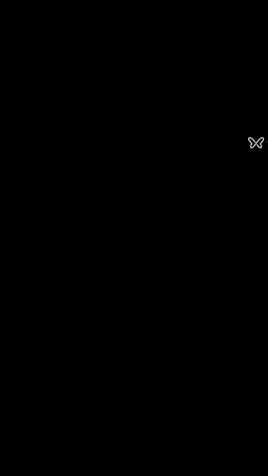 Vídeo 11