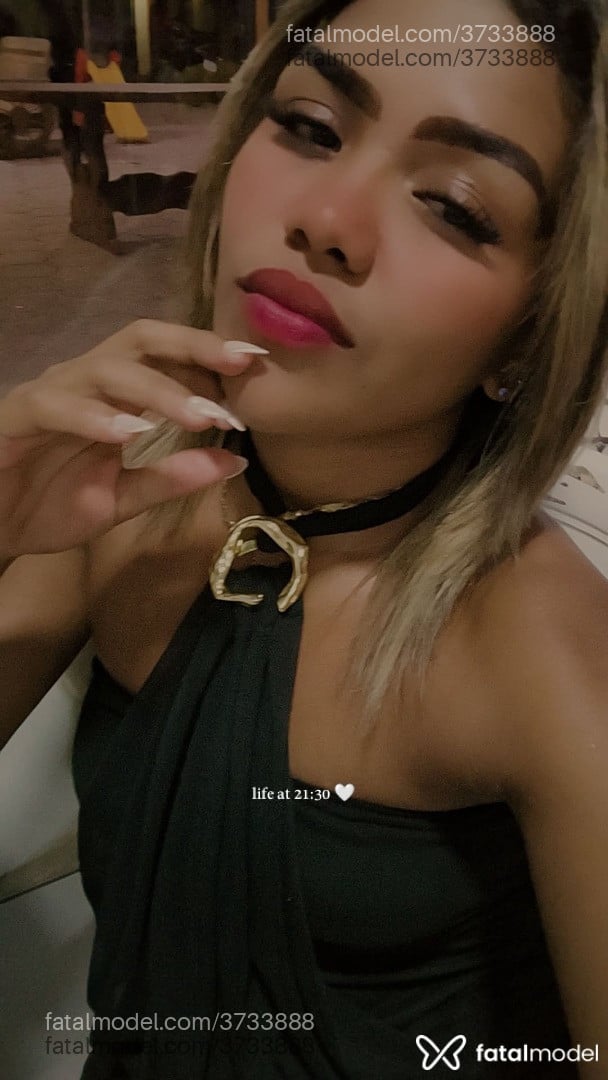 Imagem 3