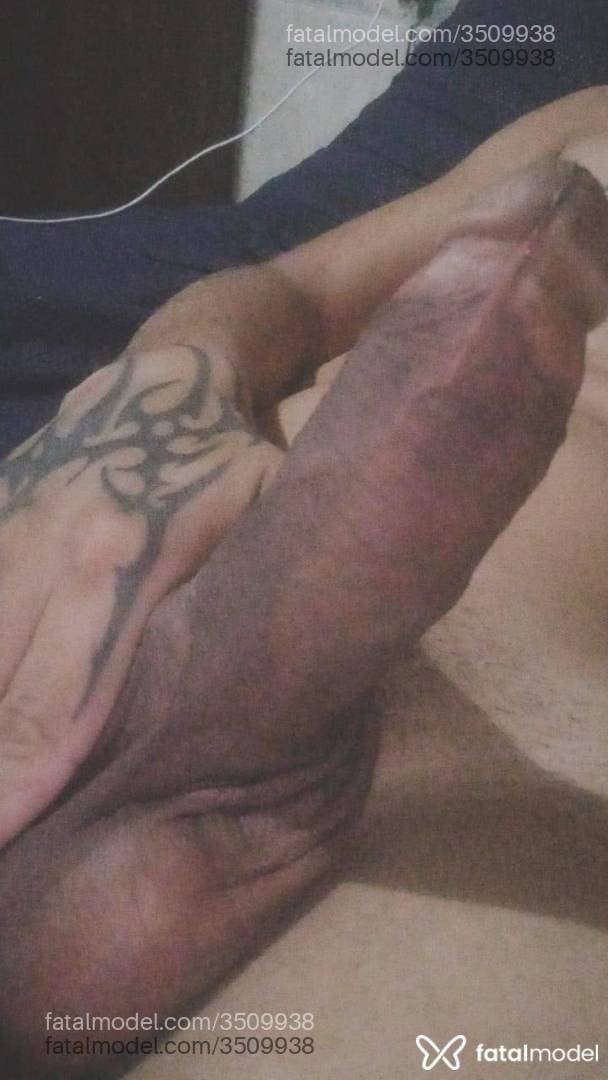 Acompanhante mulher trans com cabelo castanho de olhos castanhos - Casalvip