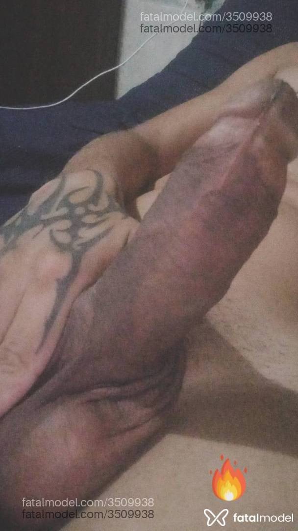 Acompanhante mulher trans com cabelo castanho de olhos castanhos - Casalvip