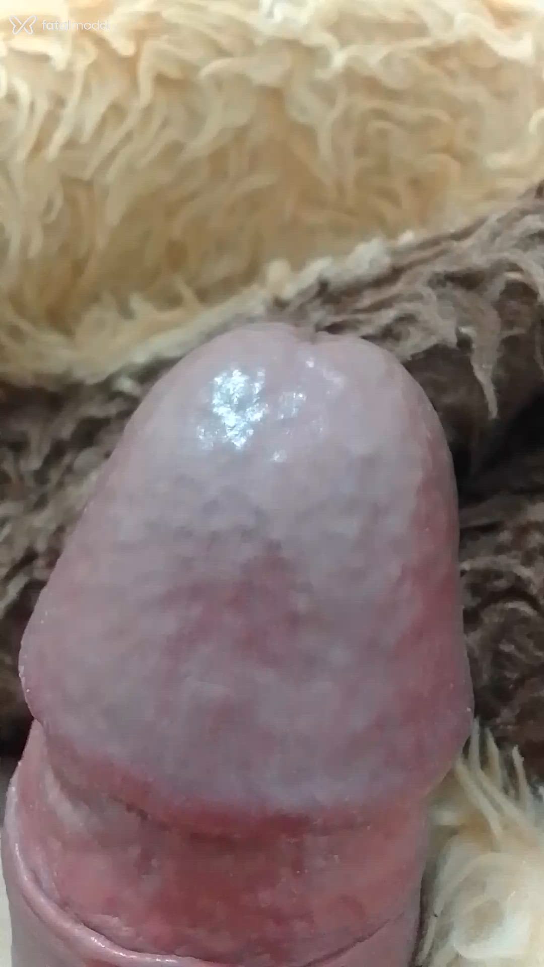 Vídeo 1