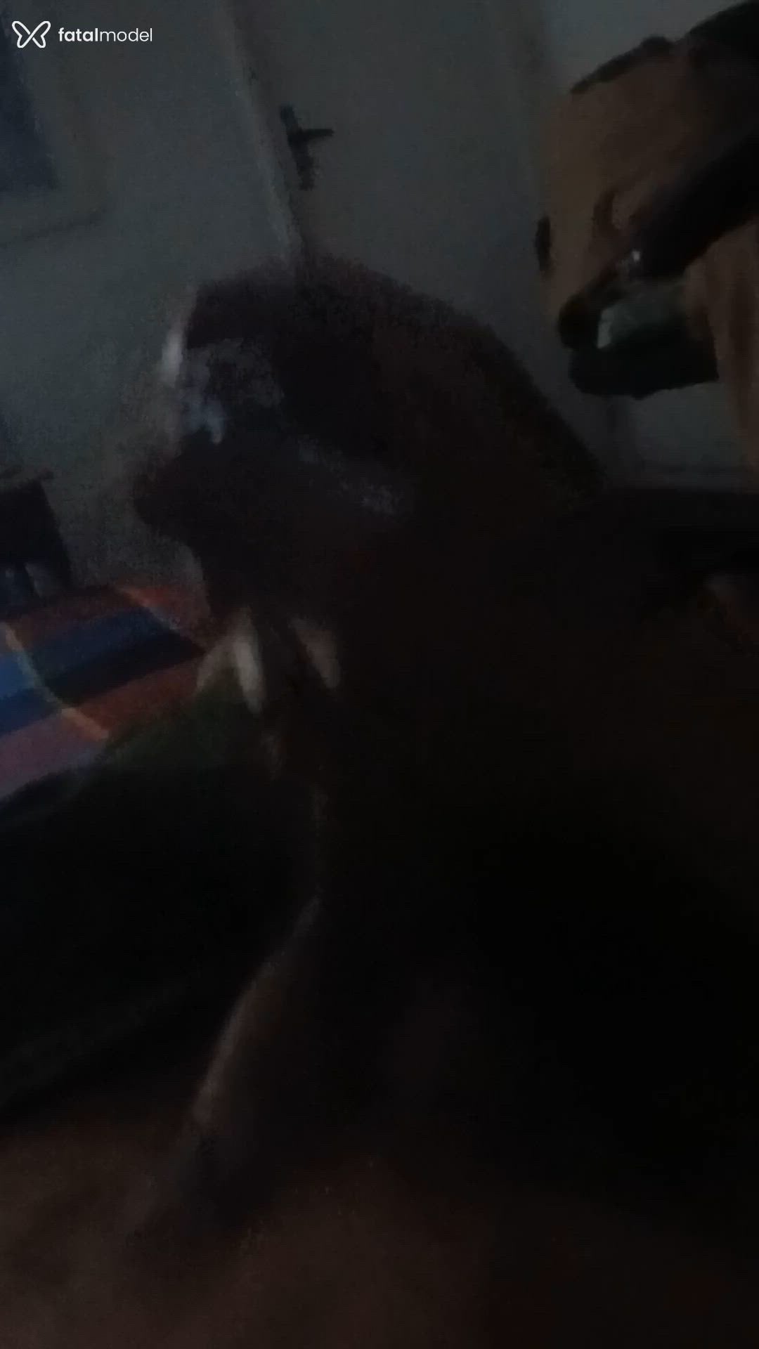 Vídeo 4