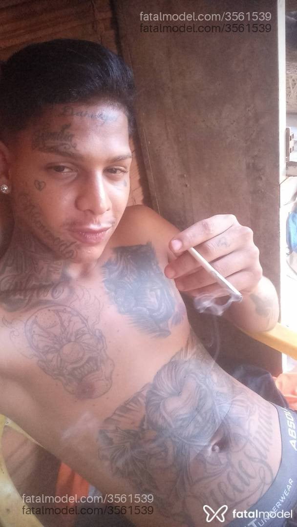 Acompanhante homem morena (o) de olhos castanhos - Zika