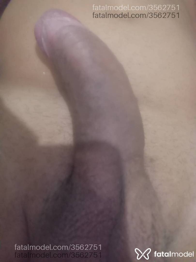 Imagem 3