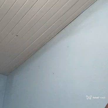 Acompanhante homem morena (o) de olhos pretos - Henrique