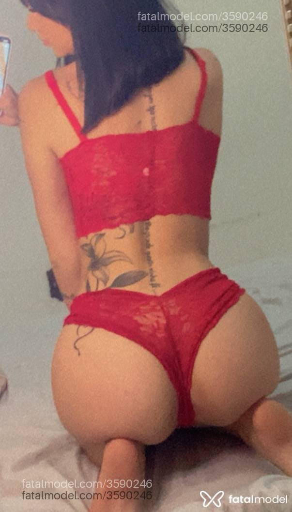 Acompanhante mulher morena (o) de olhos mel - Layla Silva