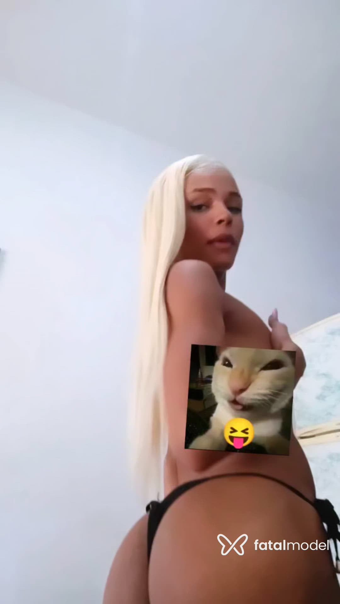 Vídeo 3