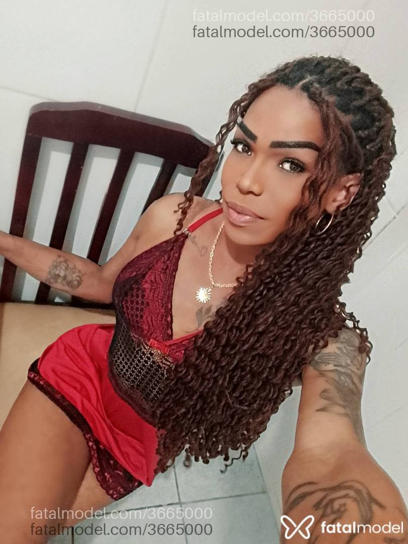Imagem 1