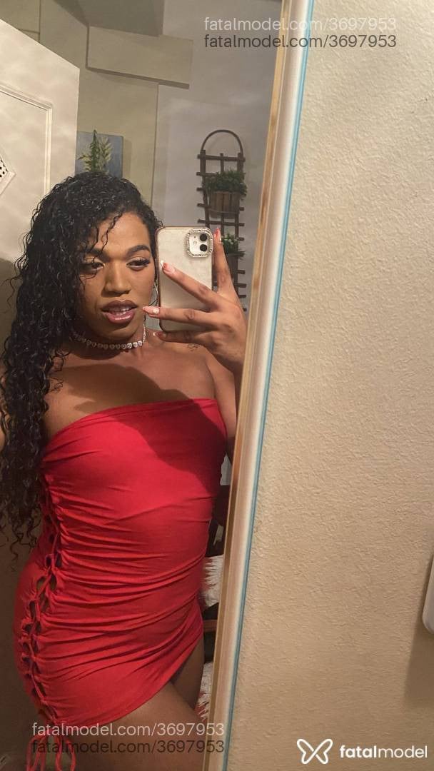 Acompanhante mulher trans morena (o) de olhos castanhos - Jasmim Portinari