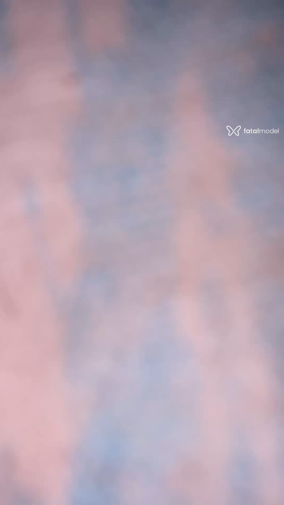Vídeo 1