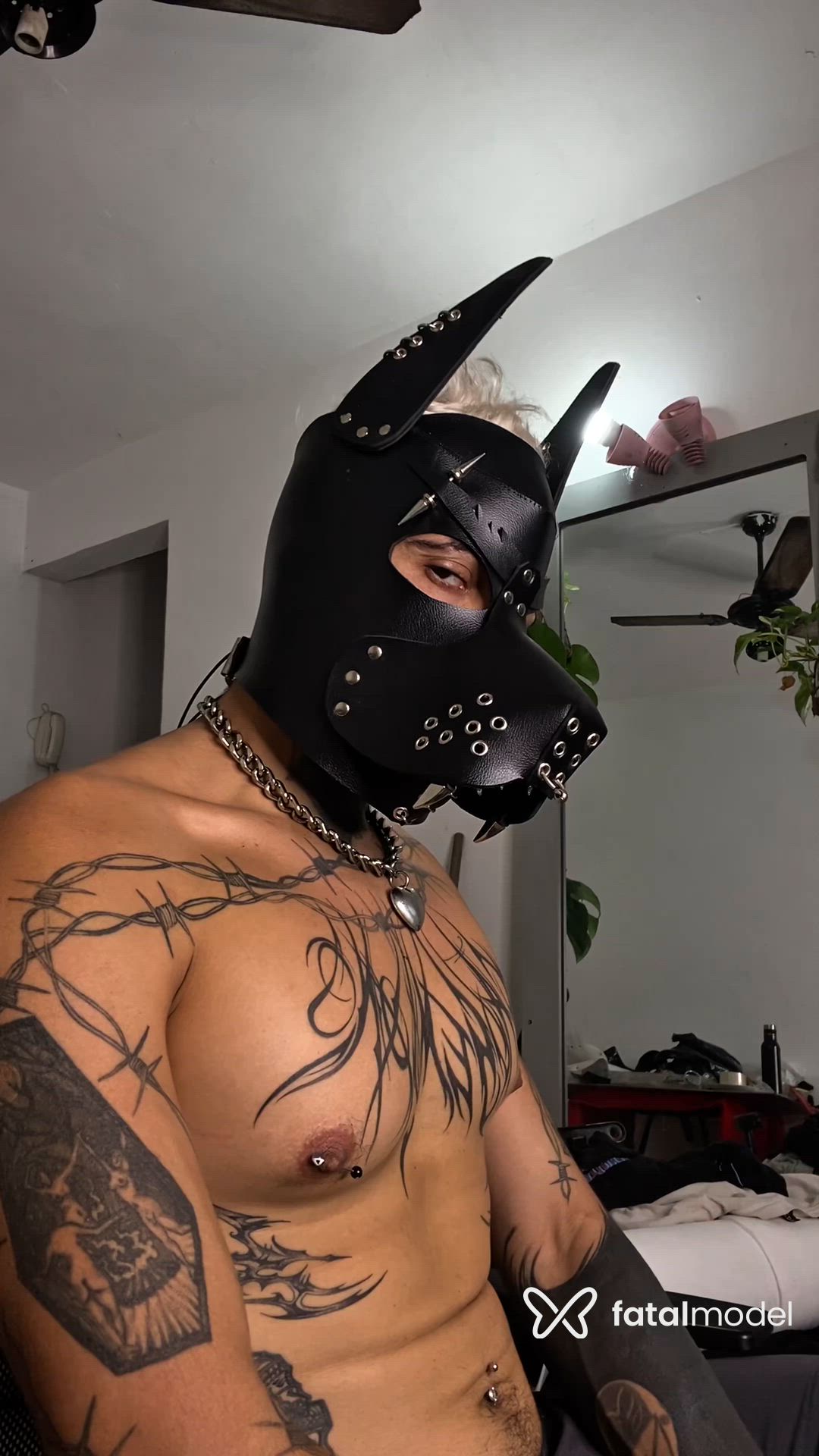 Vídeo 1