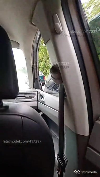 Vídeo 7