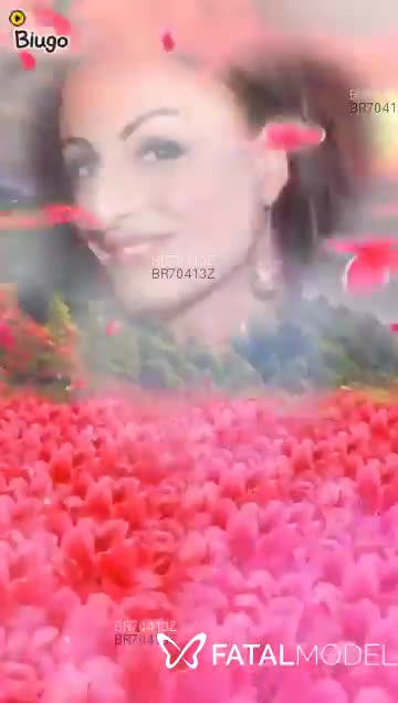 Acompanhante travesti morena (o) de olhos castanhos em São José do Rio Preto - Aghatha Souza