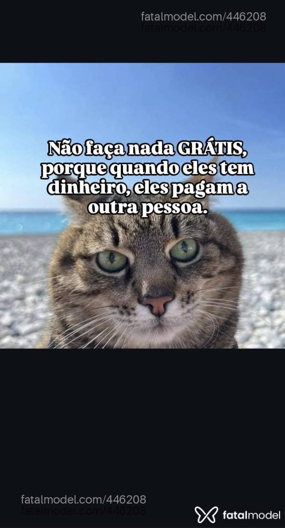 Acompanhante mulher morena (o) de olhos pretos em São Luís - Liara Lemos