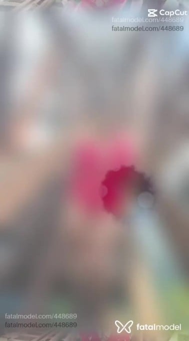 Vídeo 7