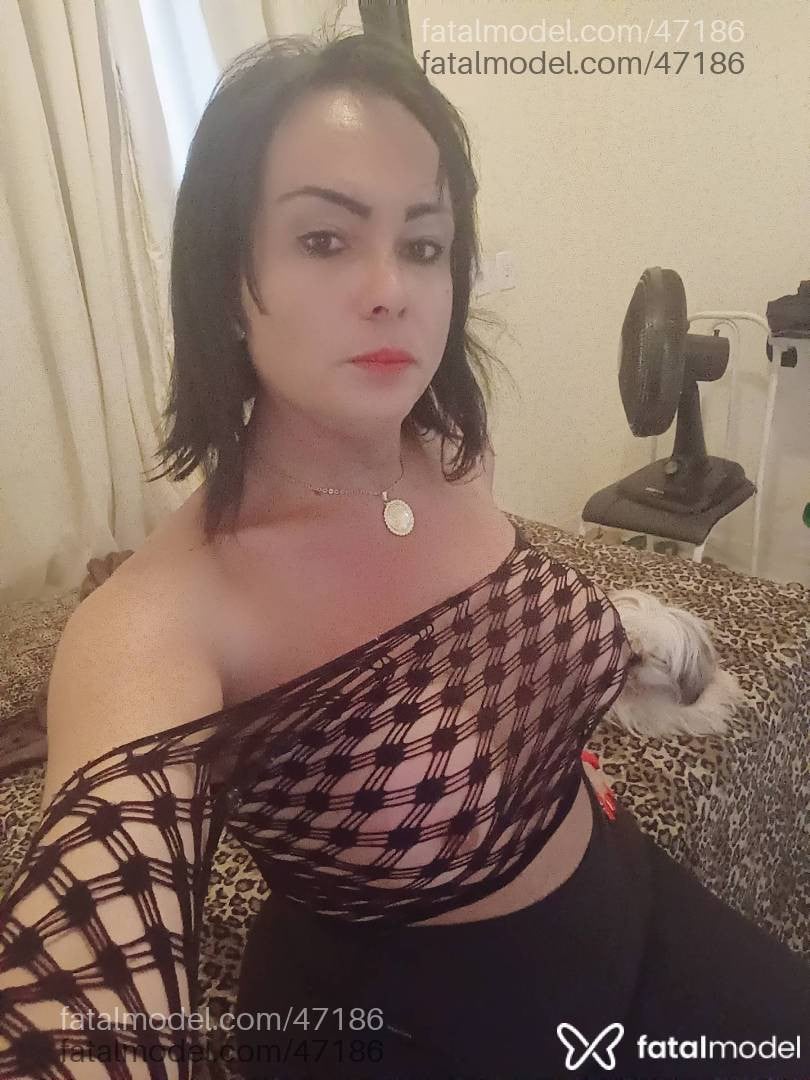 Acompanhante travesti morena (o) de olhos castanhos em São José do Rio Preto Acompanhante travesti morena (o) de olhos castanhos em São José do Rio Preto - Dueto Irredutível