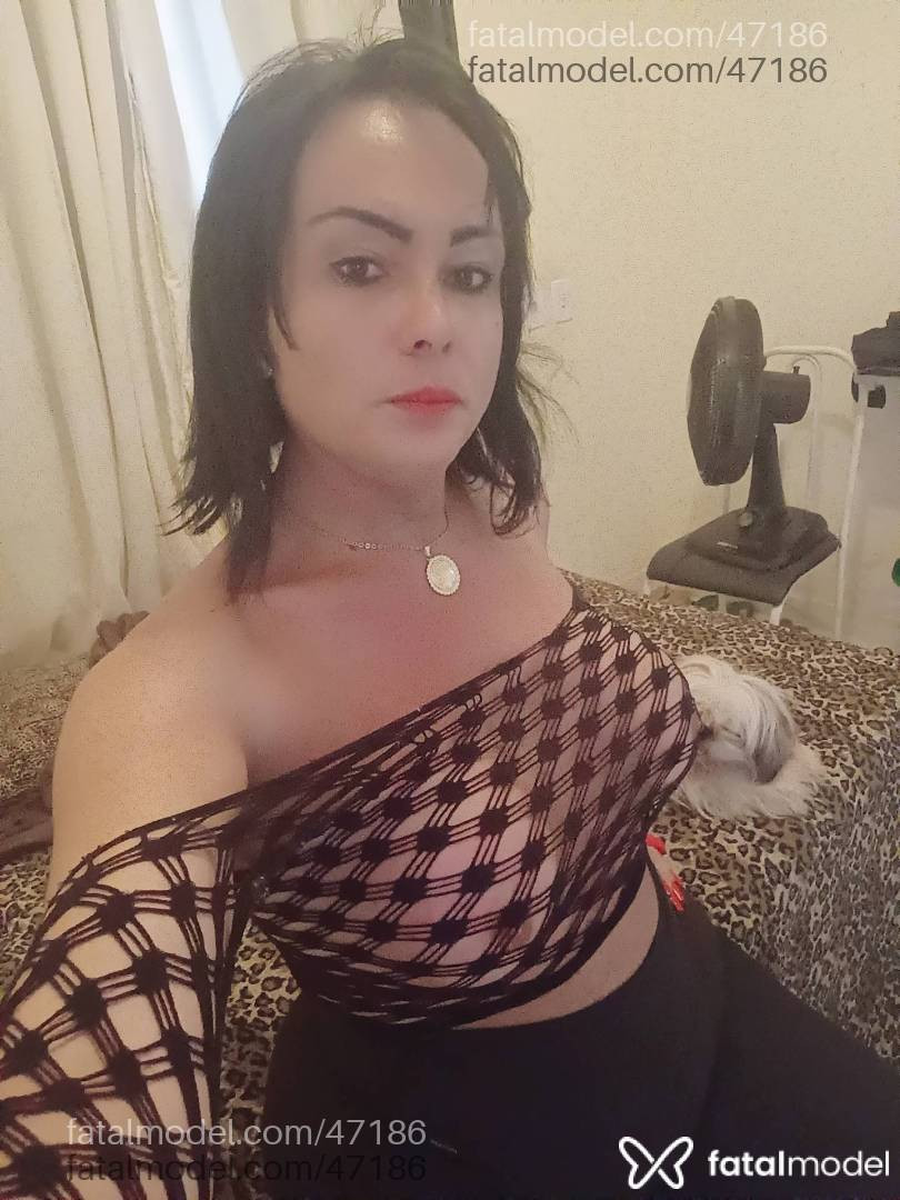 Acompanhante travesti morena (o) de olhos castanhos em São José do Rio Preto Acompanhante travesti morena (o) de olhos castanhos em São José do Rio Preto - Dueto Irredutível