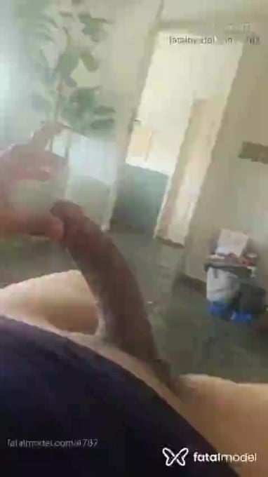 Acompanhante mulher trans morena (o) de olhos castanhos em Campos dos Goytacazes - Suzy Rodrigues