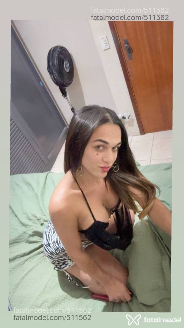 Acompanhante homem trans morena (o) de olhos verdes em Uberaba - PAOLLA SILVA