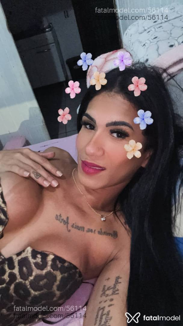 Acompanhante mulher trans morena (o) de olhos pretos em Sinop - Luuanny Piimentell