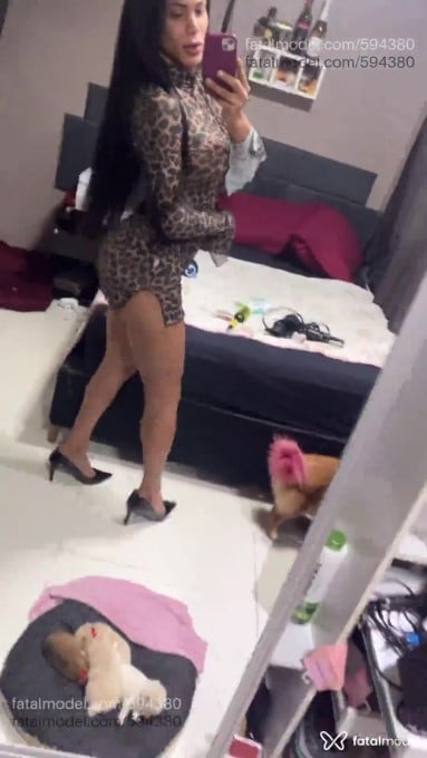 Acompanhante mulher trans morena (o) de olhos castanhos em Curitiba - Dalila