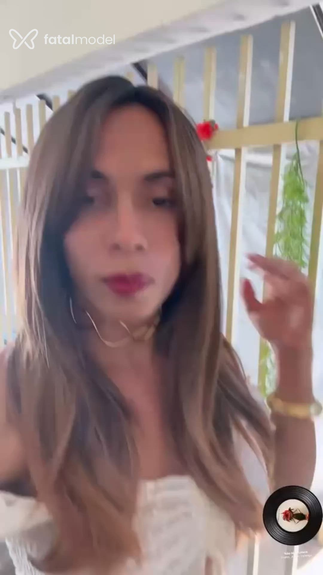 Acompanhante travesti morena (o) de olhos pretos - Nicole paiva