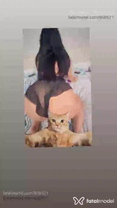 Acompanhante mulher com cabelo castanho de olhos castanhos em Ariquemes - Mirella