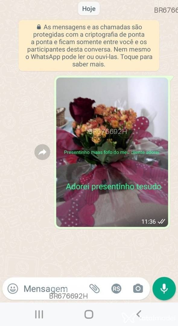 Acompanhante mulher com cabelo castanho de olhos mel em Itaúna - Raiane lincon