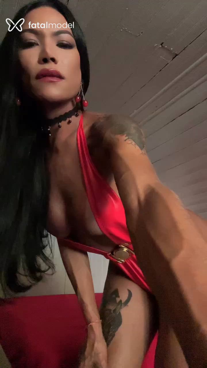 Acompanhante travesti morena (o) de olhos pretos - Dannyela Suzukky