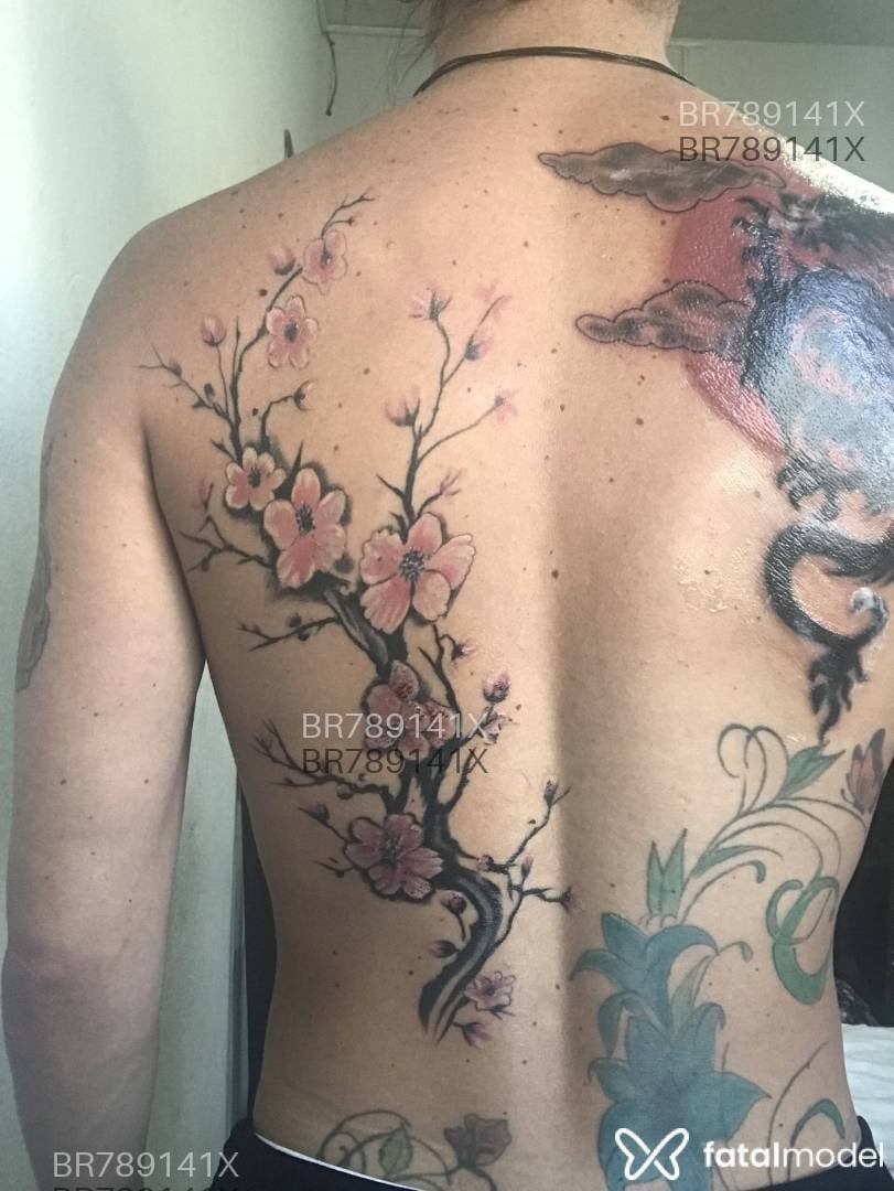 Acompanhante mulher trans com cabelo castanho de olhos castanhos em Araraquara - Jennyfer
