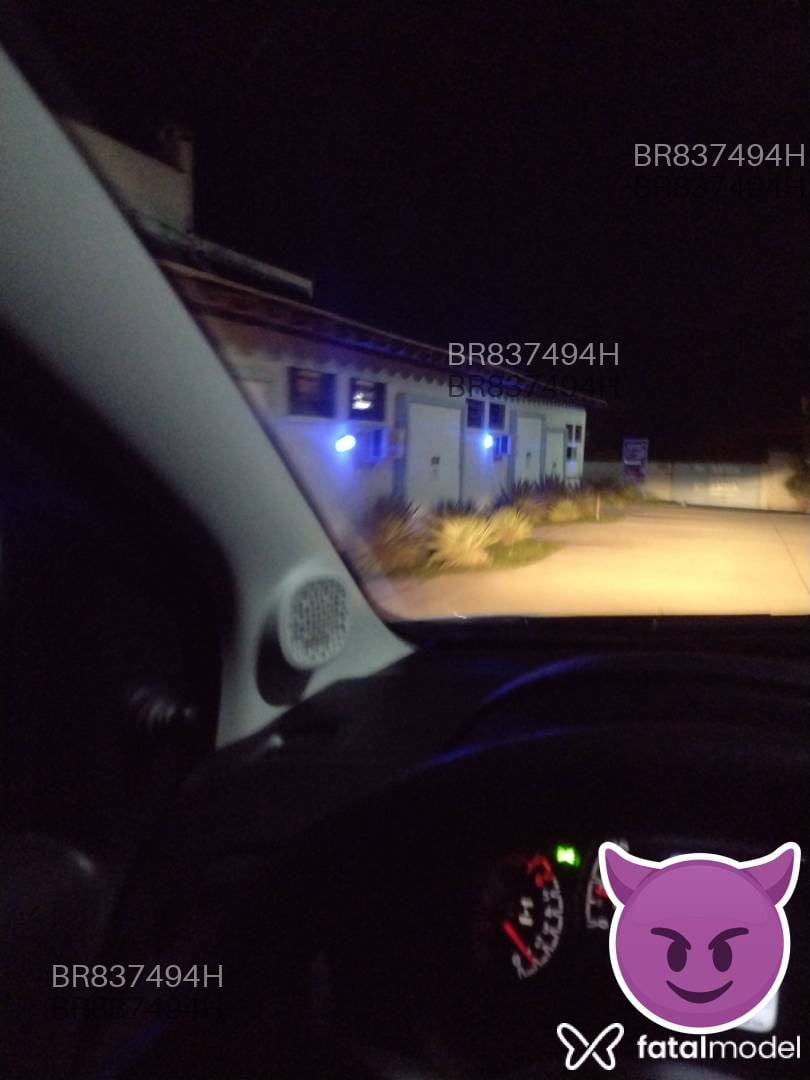 Acompanhante homem morena (o) de olhos azuis em Santa Maria - Alessandro