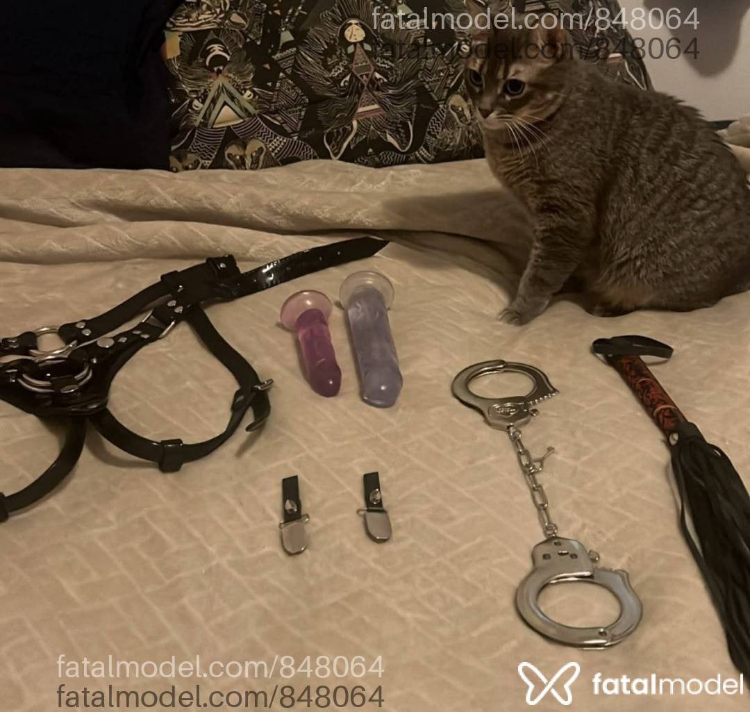 Acompanhante mulher morena (o) de olhos castanhos em Porto Alegre - Katarina Santos