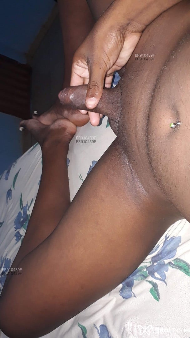 Acompanhante travesti morena (o) de olhos castanhos em Goiânia - Waylla Stefany