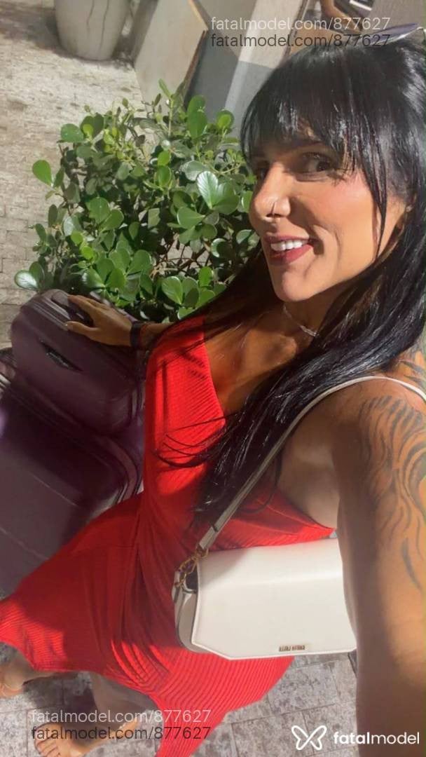 Acompanhante travesti morena (o) de olhos castanhos em Uberaba - Monique oliveira
