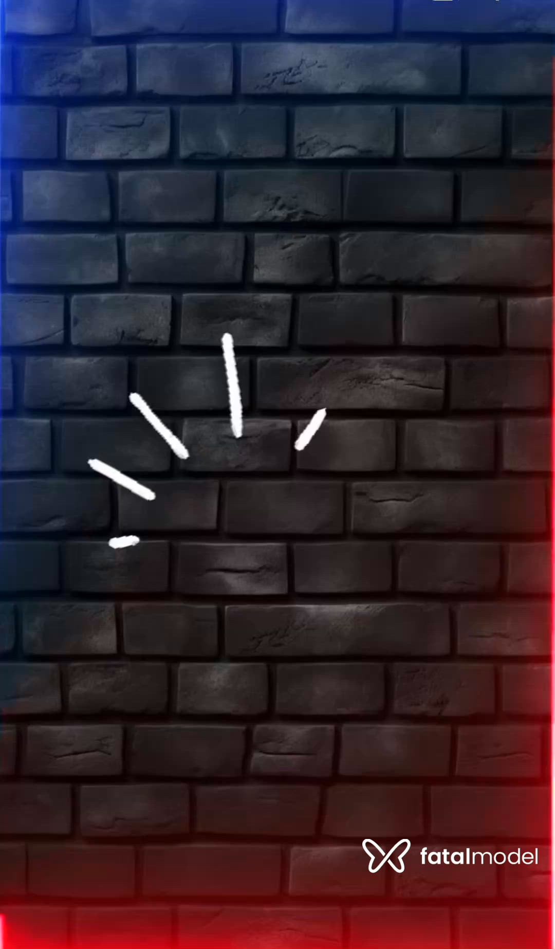 Vídeo 4