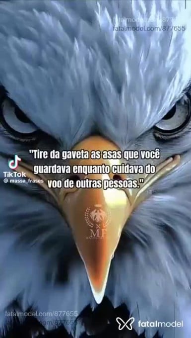 Acompanhante mulher loira (o) de olhos mel em Capão da Canoa Acompanhante mulher loira (o) de olhos mel em Capão da Canoa - Babi Loiraçatop