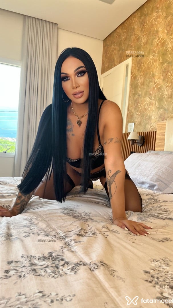 Acompanhante mulher trans morena (o) de olhos castanhos em São José - Lorena Martins