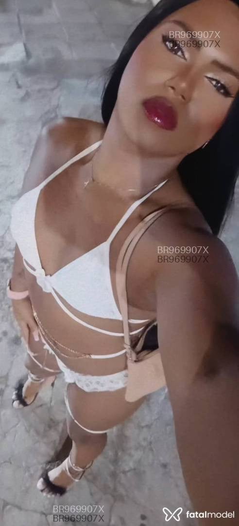 Acompanhante mulher trans com cabelo castanho de olhos castanhos em Maceió Acompanhante mulher trans com cabelo castanho de olhos castanhos em Maceió - Angel Topp