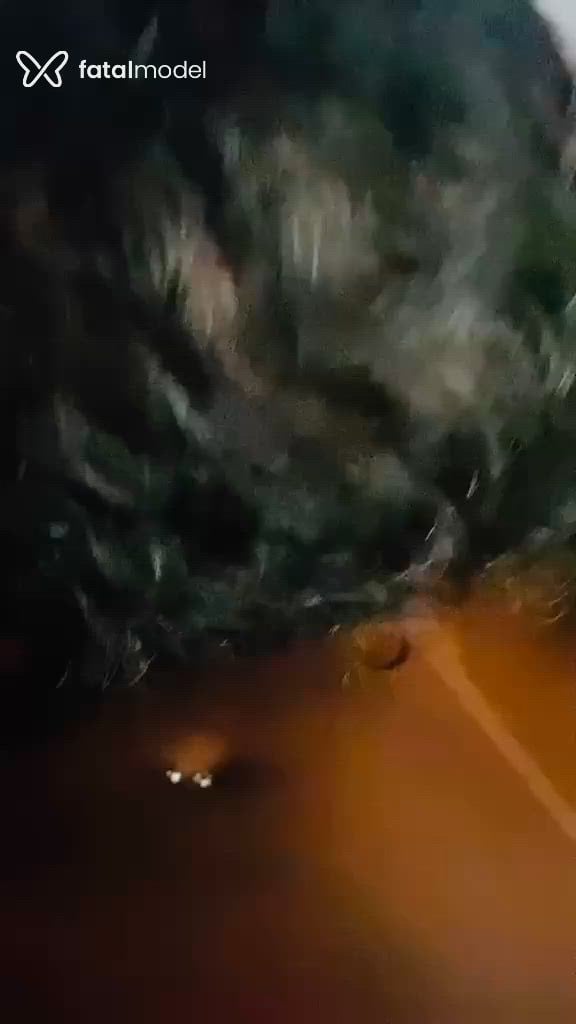 Acompanhante mulher trans morena (o) de olhos castanhos em São João Del Rei - Allana Oliveira