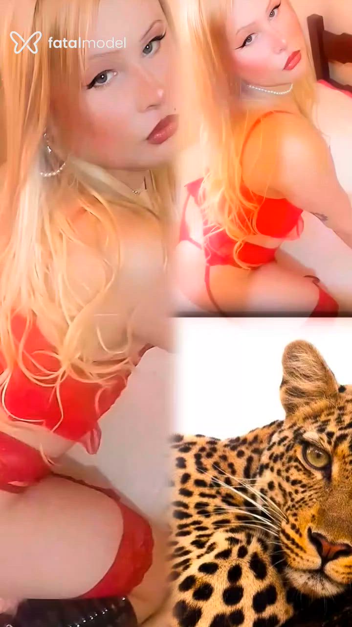Acompanhante mulher trans loira (o) de olhos verdes - Gisele Acompanhante mulher trans loira (o) de olhos verdes - Gisele